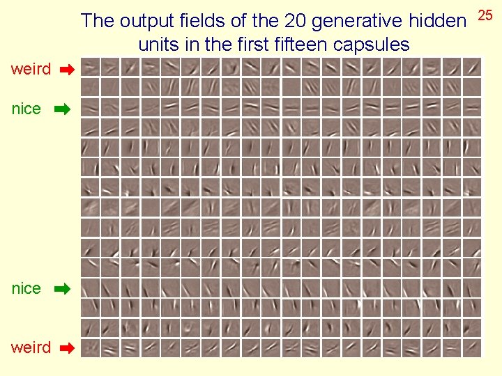 The output fields of the 20 generative hidden units in the first fifteen capsules