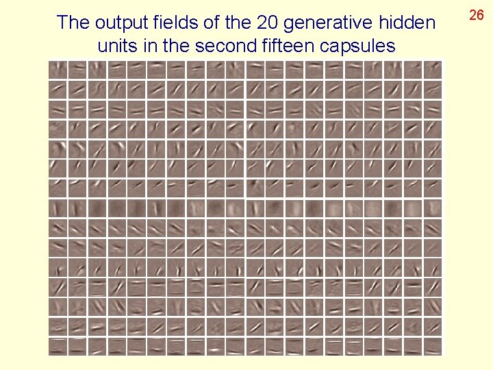 The output fields of the 20 generative hidden units in the second fifteen capsules
