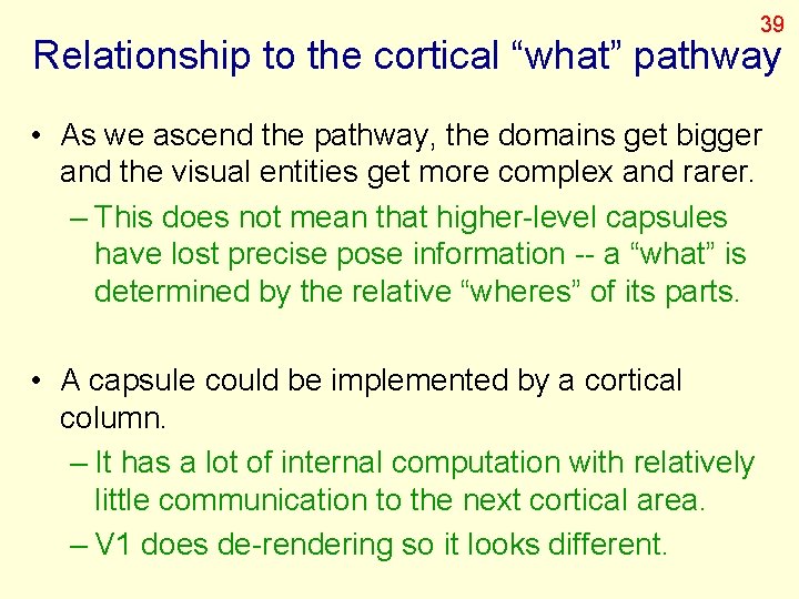 39 Relationship to the cortical “what” pathway • As we ascend the pathway, the