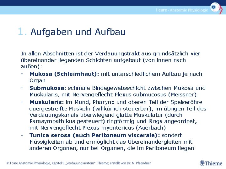 1. Aufgaben und Aufbau In allen Abschnitten ist der Verdauungstrakt aus grundsätzlich vier übereinander