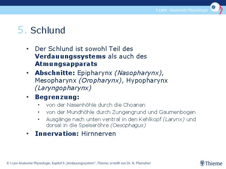 5. Schlund • Der Schlund ist sowohl Teil des Verdauungssystems als auch des Atmungsapparats