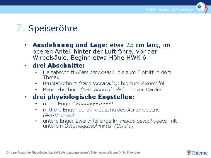 7. Speiseröhre • Ausdehnung und Lage: etwa 25 cm lang, im oberen Anteil hinter