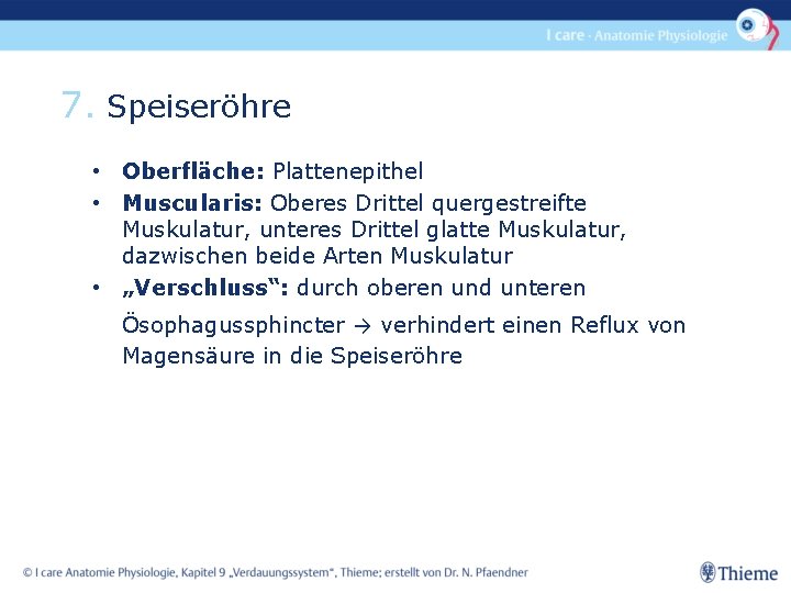 7. Speiseröhre • Oberfläche: Plattenepithel • Muscularis: Oberes Drittel quergestreifte Muskulatur, unteres Drittel glatte