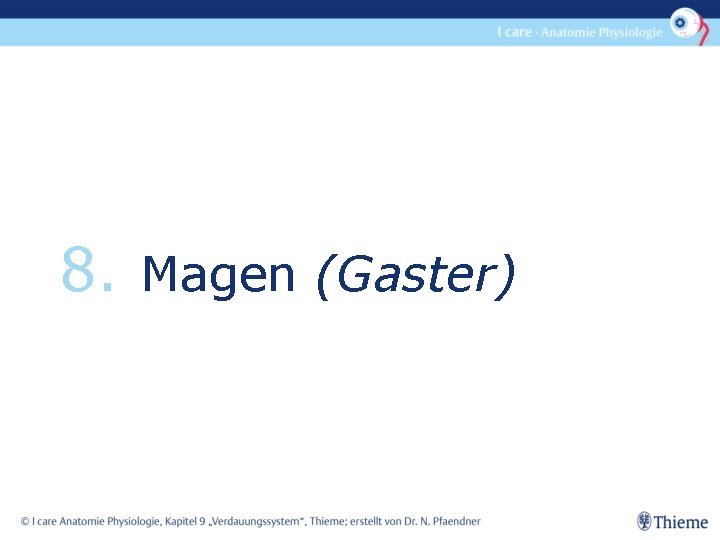 8. Magen (Gaster) 