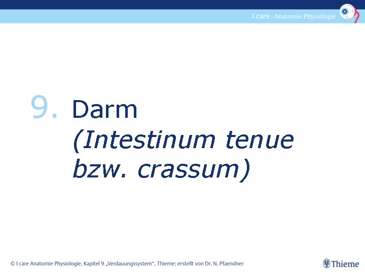 9. Darm (Intestinum tenue bzw. crassum) 