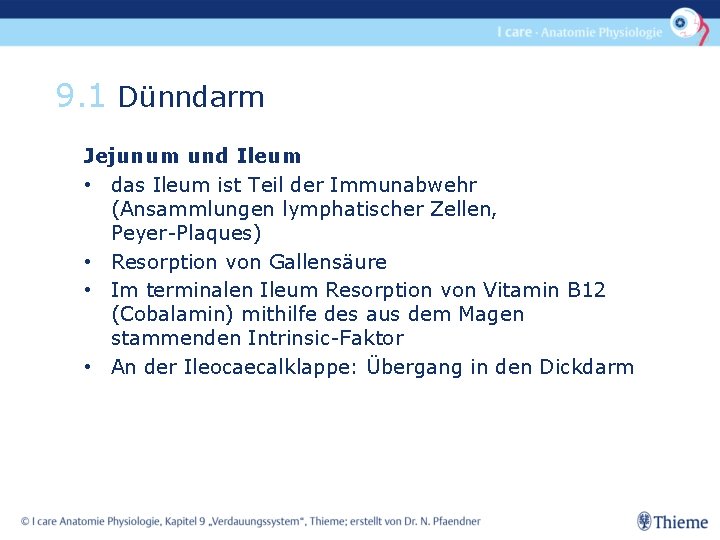 9. 1 Dünndarm Jejunum und Ileum • das Ileum ist Teil der Immunabwehr (Ansammlungen