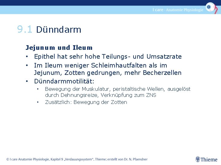 9. 1 Dünndarm Jejunum und Ileum • Epithel hat sehr hohe Teilungs- und Umsatzrate