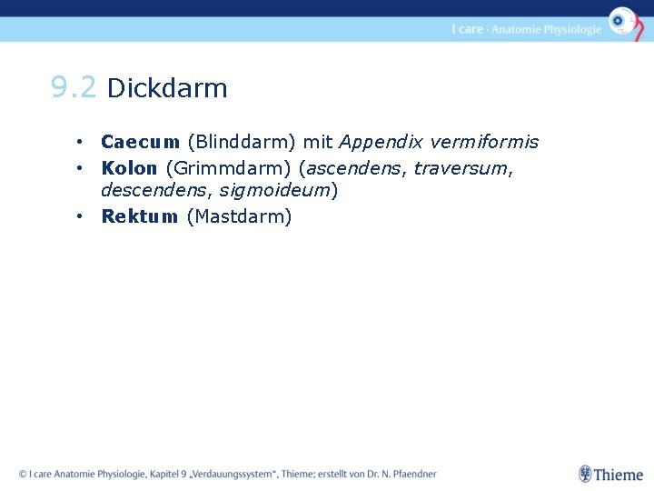 9. 2 Dickdarm • Caecum (Blinddarm) mit Appendix vermiformis • Kolon (Grimmdarm) (ascendens, traversum,