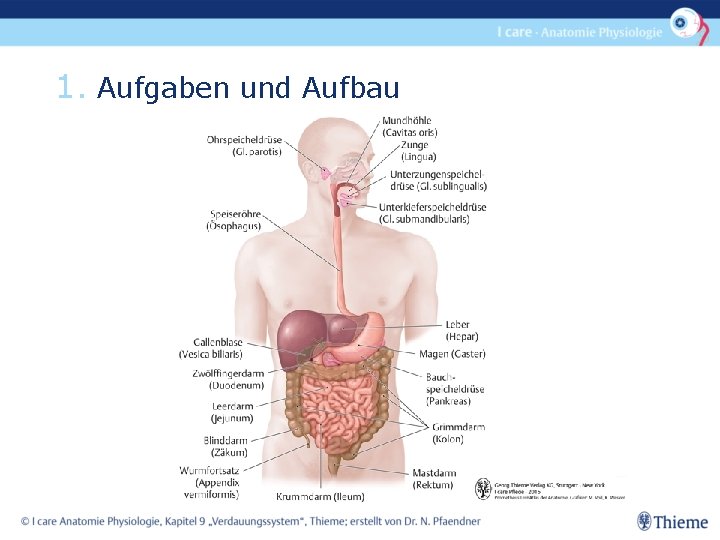 1. Aufgaben und Aufbau 