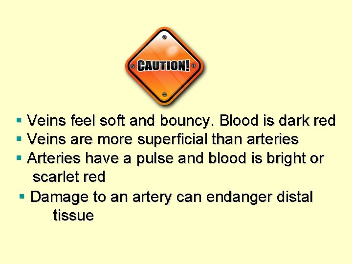 § Veins feel soft and bouncy. Blood is dark red § Veins are more