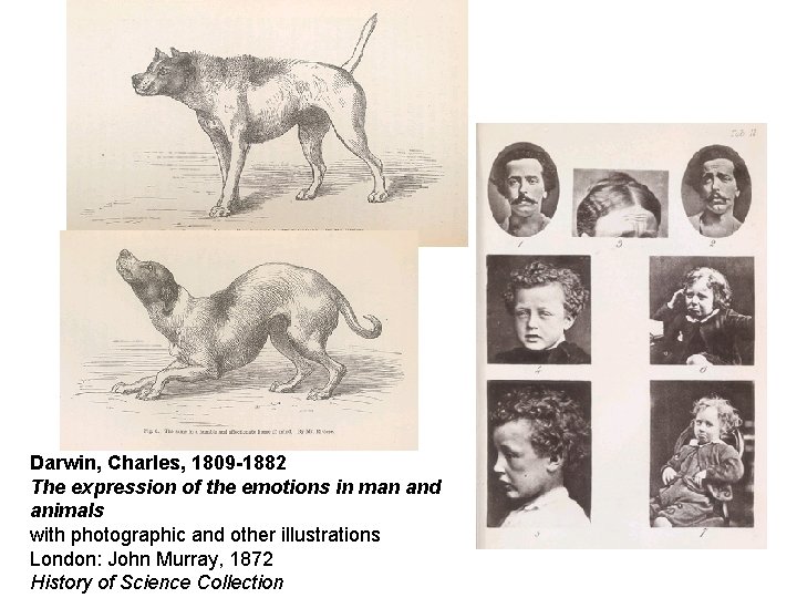 Darwin, Charles, 1809 -1882 The expression of the emotions in man and animals with