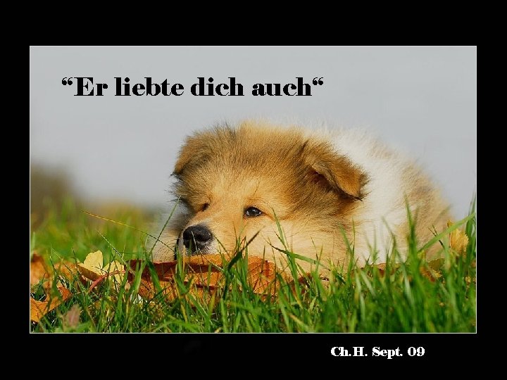 “Er liebte dich auch“ Ch. H. Sept. 09 