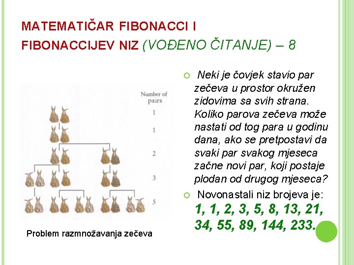 MATEMATIČAR FIBONACCI I FIBONACCIJEV NIZ (VOĐENO ČITANJE) – 8 Problem razmnožavanja zečeva Neki je