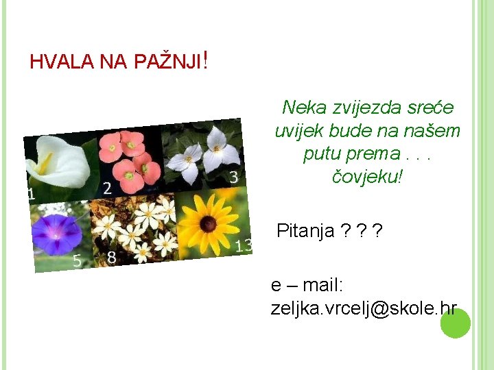 HVALA NA PAŽNJI! Neka zvijezda sreće uvijek bude na našem putu prema. . .