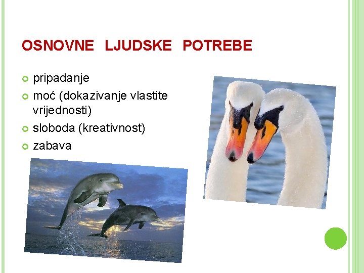 OSNOVNE LJUDSKE POTREBE pripadanje moć (dokazivanje vlastite vrijednosti) sloboda (kreativnost) zabava 