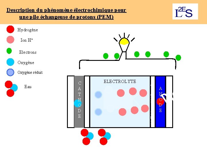 Description du phénomène électrochimique pour une pile échangeuse de protons (PEM) Hydrogène Les ions