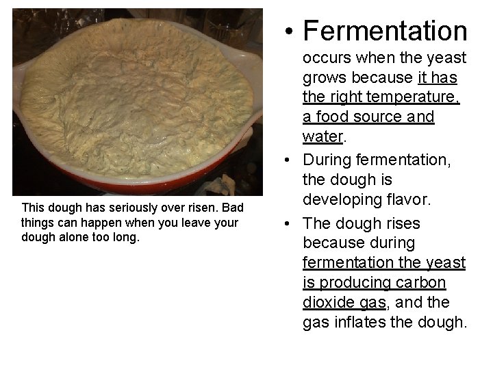  • Fermentation This dough has seriously over risen. Bad things can happen when