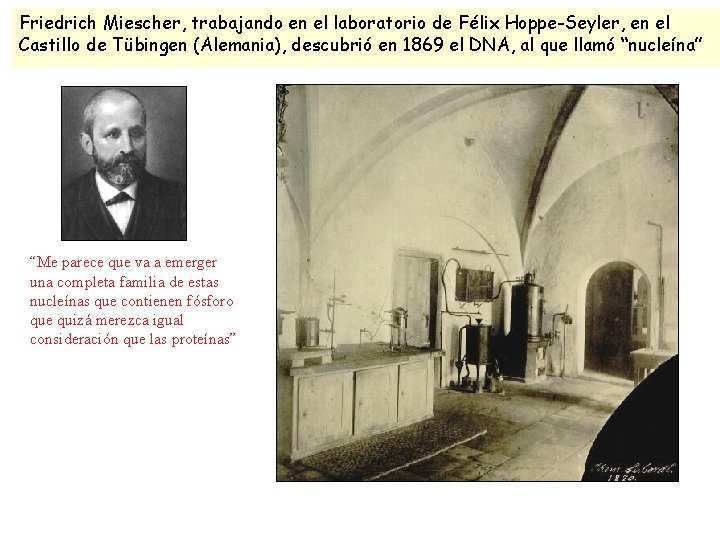 Friedrich Miescher, trabajando en el laboratorio de Félix Hoppe-Seyler, en el Castillo de Tübingen