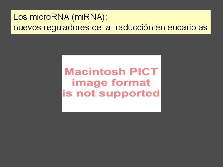 Los micro. RNA (mi. RNA): nuevos reguladores de la traducción en eucariotas 