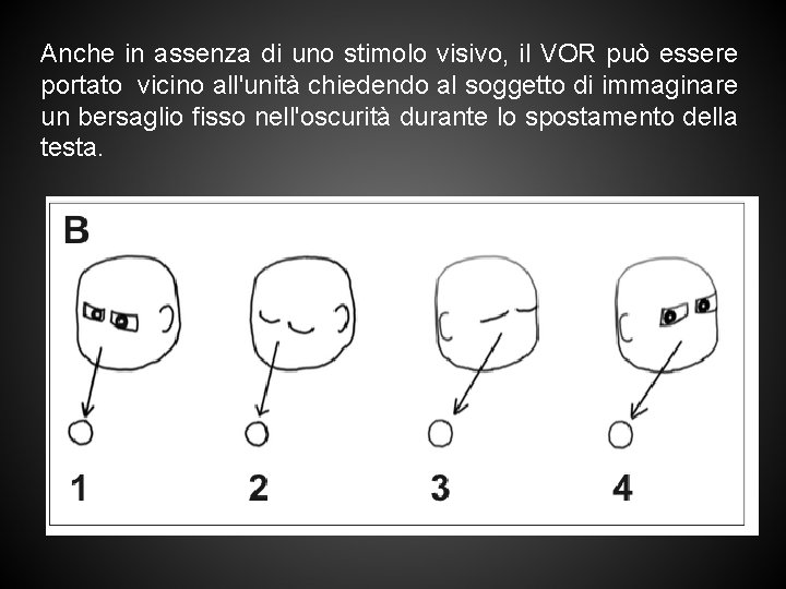 Anche in assenza di uno stimolo visivo, il VOR può essere portato vicino all'unità