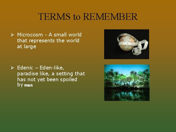 TERMS to REMEMBER Ø Microcosm - A small world that represents the world at