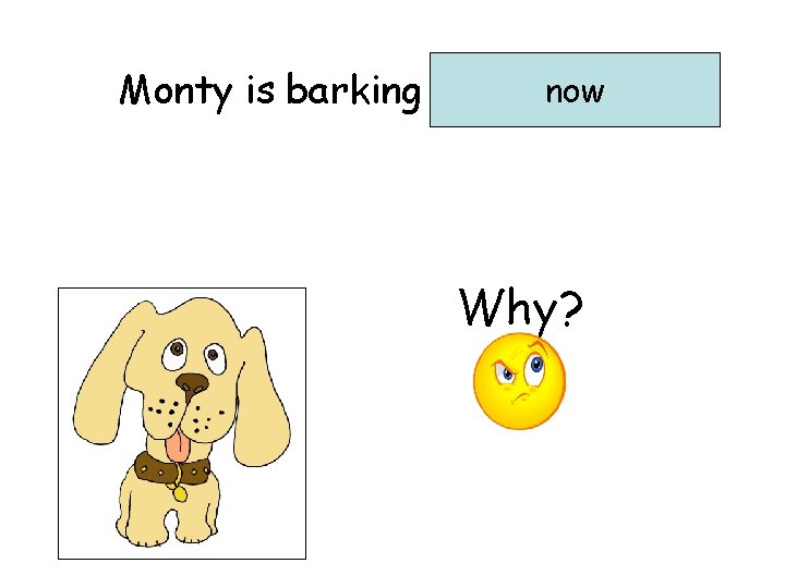 now Monty is barking …………. . Why? 