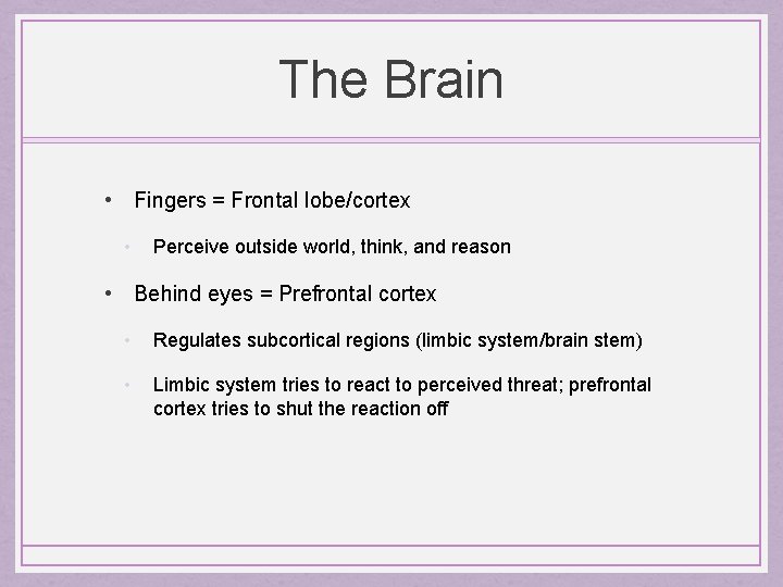 The Brain • Fingers = Frontal lobe/cortex • Perceive outside world, think, and reason