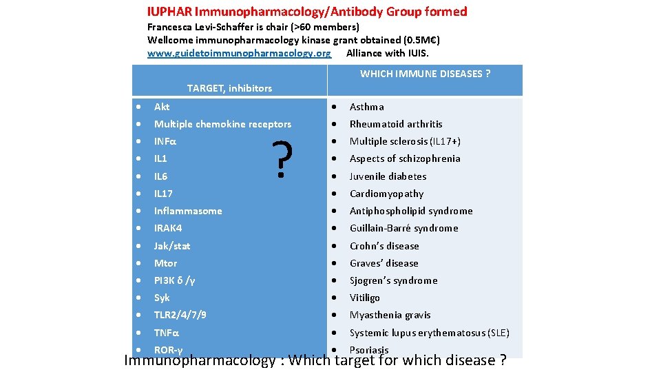 IUPHAR Immunopharmacology/Antibody Group formed Francesca Levi-Schaffer is chair (>60 members) Wellcome immunopharmacology kinase grant