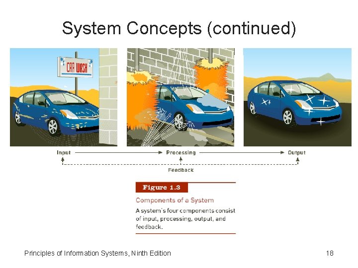 System Concepts (continued) Principles of Information Systems, Ninth Edition 18 