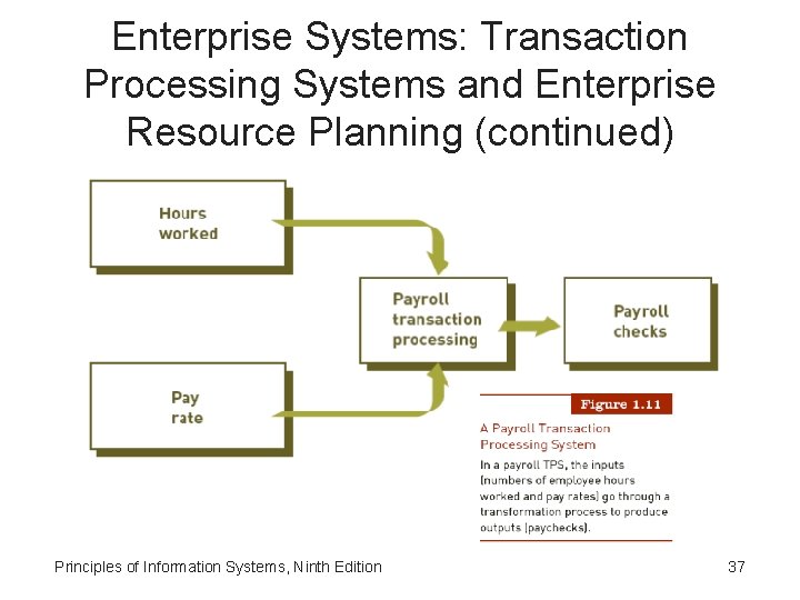 Enterprise Systems: Transaction Processing Systems and Enterprise Resource Planning (continued) Principles of Information Systems,