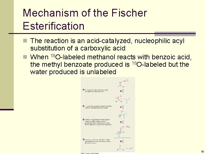 Mechanism of the Fischer Esterification n The reaction is an acid-catalyzed, nucleophilic acyl substitution