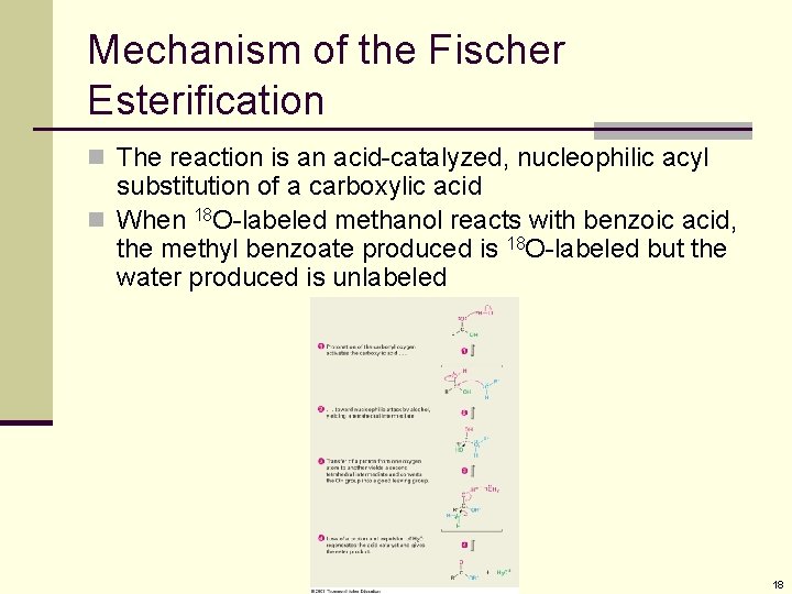 Mechanism of the Fischer Esterification n The reaction is an acid-catalyzed, nucleophilic acyl substitution Mechanism of the Fischer Esterification n The reaction is an acid-catalyzed, nucleophilic acyl substitution