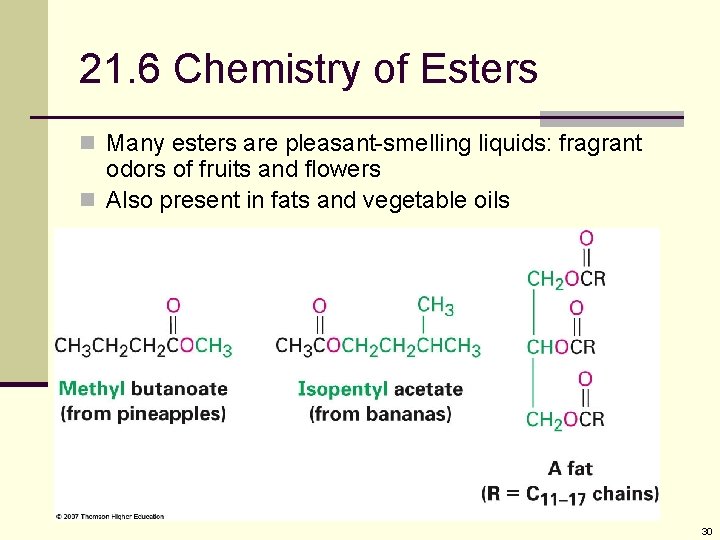 21. 6 Chemistry of Esters n Many esters are pleasant-smelling liquids: fragrant odors of