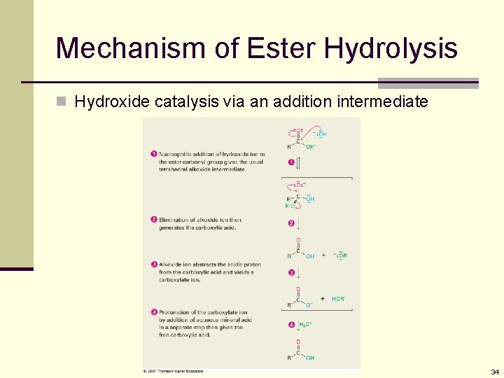 Mechanism of Ester Hydrolysis n Hydroxide catalysis via an addition intermediate 34 Mechanism of Ester Hydrolysis n Hydroxide catalysis via an addition intermediate 34