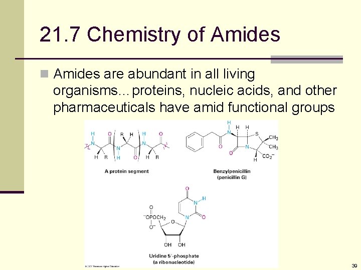 21. 7 Chemistry of Amides n Amides are abundant in all living organisms…proteins, nucleic 21. 7 Chemistry of Amides n Amides are abundant in all living organisms…proteins, nucleic
