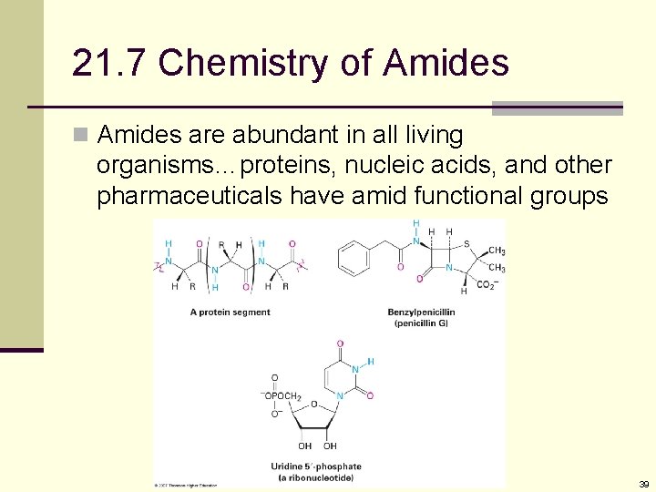 21. 7 Chemistry of Amides n Amides are abundant in all living organisms…proteins, nucleic