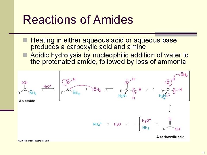 Reactions of Amides n Heating in either aqueous acid or aqueous base produces a Reactions of Amides n Heating in either aqueous acid or aqueous base produces a
