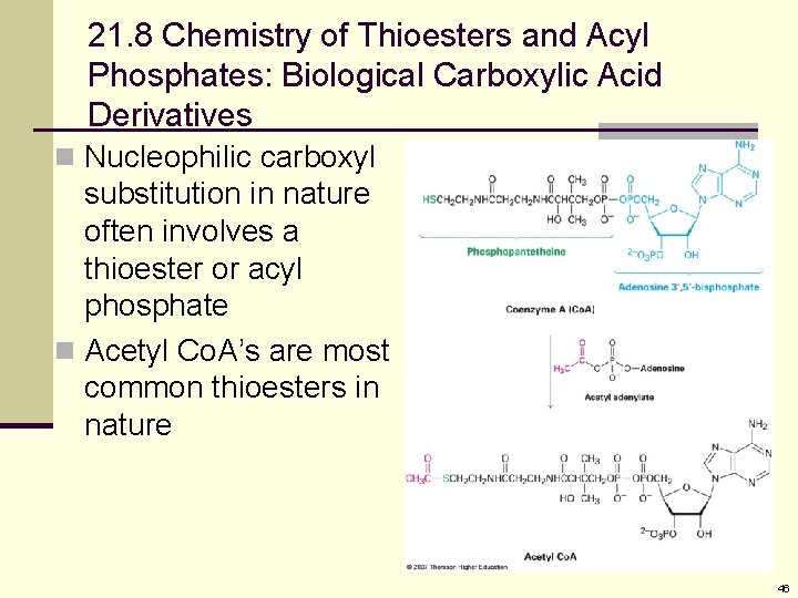 21. 8 Chemistry of Thioesters and Acyl Phosphates: Biological Carboxylic Acid Derivatives n Nucleophilic