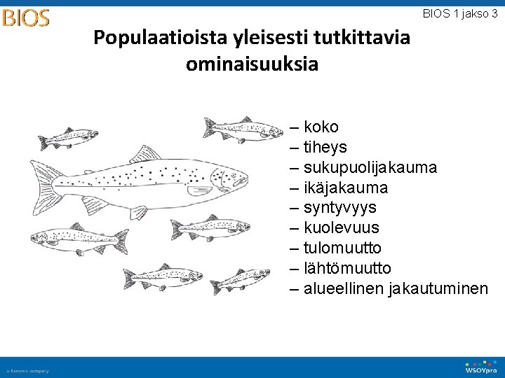BIOS 1 jakso 3 Populaatioista yleisesti tutkittavia ominaisuuksia – koko – tiheys – sukupuolijakauma BIOS 1 jakso 3 Populaatioista yleisesti tutkittavia ominaisuuksia – koko – tiheys – sukupuolijakauma