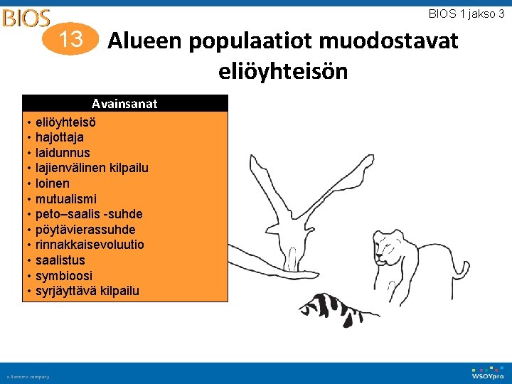BIOS 1 jakso 3 13 Alueen populaatiot muodostavat eliöyhteisön Avainsanat • eliöyhteisö • hajottaja BIOS 1 jakso 3 13 Alueen populaatiot muodostavat eliöyhteisön Avainsanat • eliöyhteisö • hajottaja