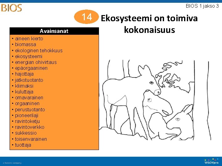 BIOS 1 jakso 3 Avainsanat • aineen kierto • biomassa • ekologinen tehokkuus • BIOS 1 jakso 3 Avainsanat • aineen kierto • biomassa • ekologinen tehokkuus •