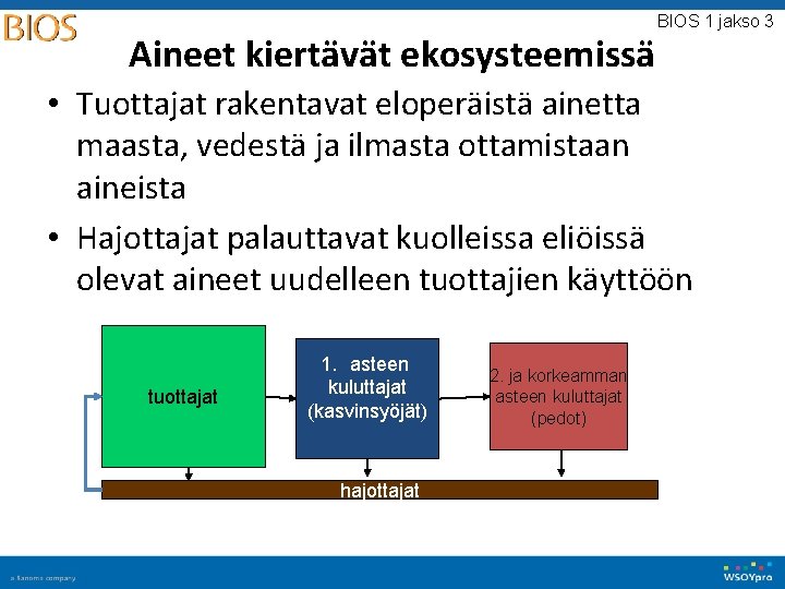 Aineet kiertävät ekosysteemissä BIOS 1 jakso 3 • Tuottajat rakentavat eloperäistä ainetta maasta, vedestä Aineet kiertävät ekosysteemissä BIOS 1 jakso 3 • Tuottajat rakentavat eloperäistä ainetta maasta, vedestä