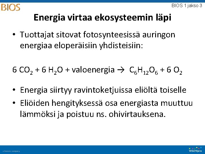 BIOS 1 jakso 3 Energia virtaa ekosysteemin läpi • Tuottajat sitovat fotosynteesissä auringon energiaa BIOS 1 jakso 3 Energia virtaa ekosysteemin läpi • Tuottajat sitovat fotosynteesissä auringon energiaa