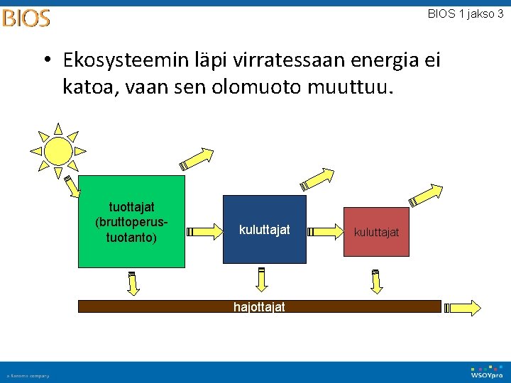 BIOS 1 jakso 3 • Ekosysteemin läpi virratessaan energia ei katoa, vaan sen olomuoto BIOS 1 jakso 3 • Ekosysteemin läpi virratessaan energia ei katoa, vaan sen olomuoto