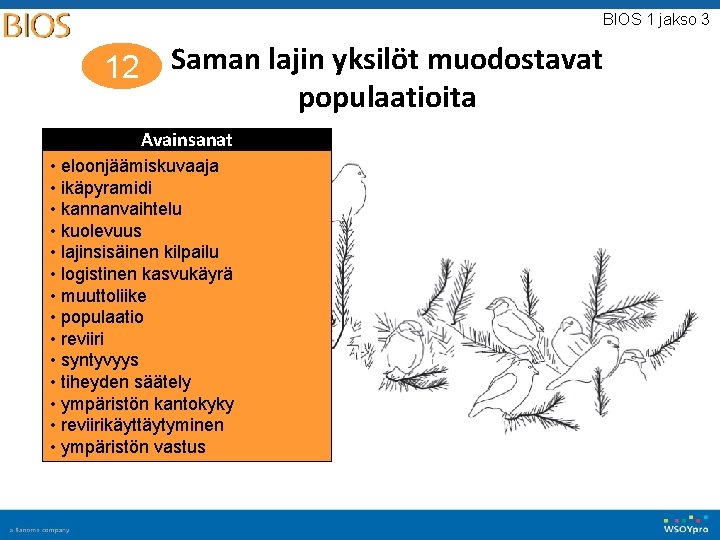 BIOS 1 jakso 3 12 Saman lajin yksilöt muodostavat populaatioita Avainsanat • eloonjäämiskuvaaja • BIOS 1 jakso 3 12 Saman lajin yksilöt muodostavat populaatioita Avainsanat • eloonjäämiskuvaaja •