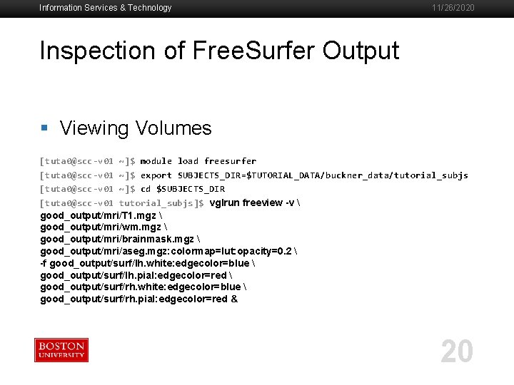 Information Services & Technology 11/26/2020 Inspection of Free. Surfer Output § Viewing Volumes [tuta