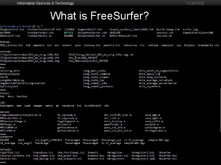Information Services & Technology 11/26/2020 What is Free. Surfer? … … 4 
