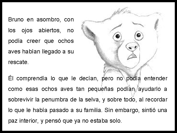 Bruno en asombro, con los ojos abiertos, no podía creer que ochos aves habían