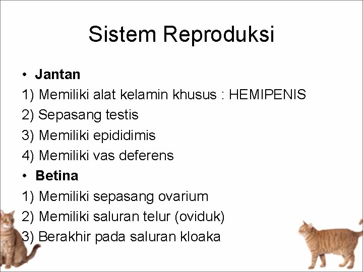 Sistem Reproduksi • Jantan 1) Memiliki alat kelamin khusus : HEMIPENIS 2) Sepasang testis