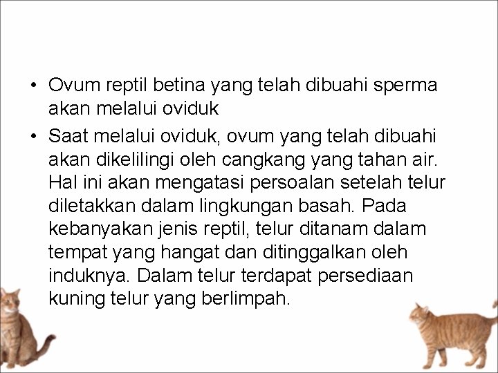  • Ovum reptil betina yang telah dibuahi sperma akan melalui oviduk • Saat